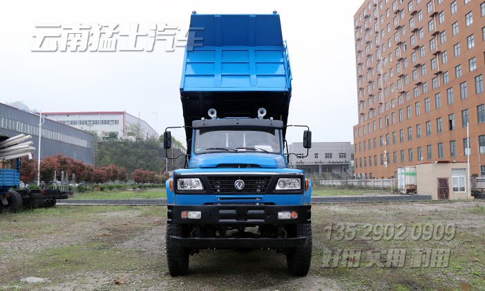 東風(fēng)尖頭自卸車,13方渣土車,東風(fēng)四驅(qū)卡車,工地自卸車,長(zhǎng)頭卡車出售