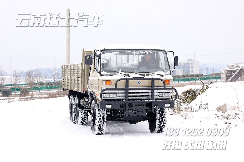 EQ2102N,越野專用車,輪胎充放氣,雙排駕駛室,后置絞盤